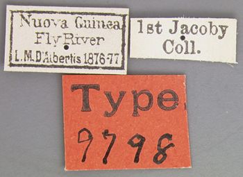 Media type: image; Entomology 9798   Aspect: labels